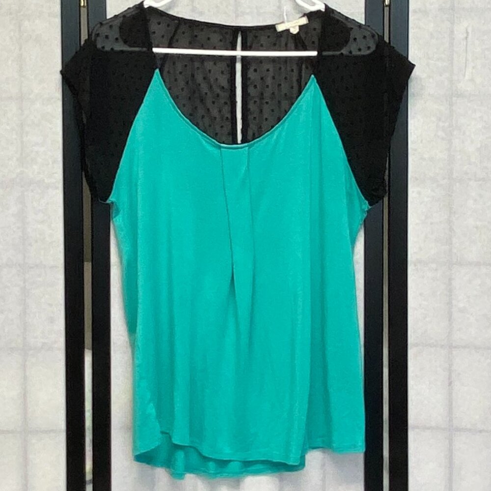 Pleione Sheer Dot Slit Keyhole Back Blouse L Scoop Neck Boho Flowy Top